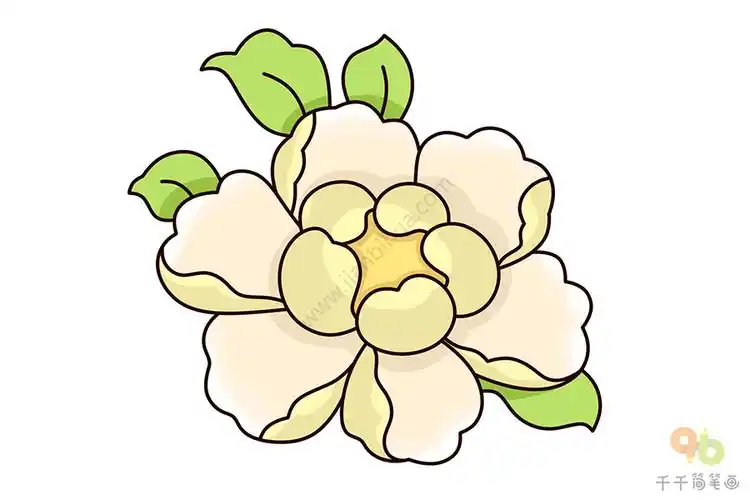 第五步:涂色,牡丹花简笔画就画好啦!