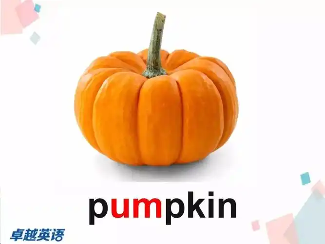 老师说爱吃蔬菜的都是乖孩子!【单词达人计划第14期】