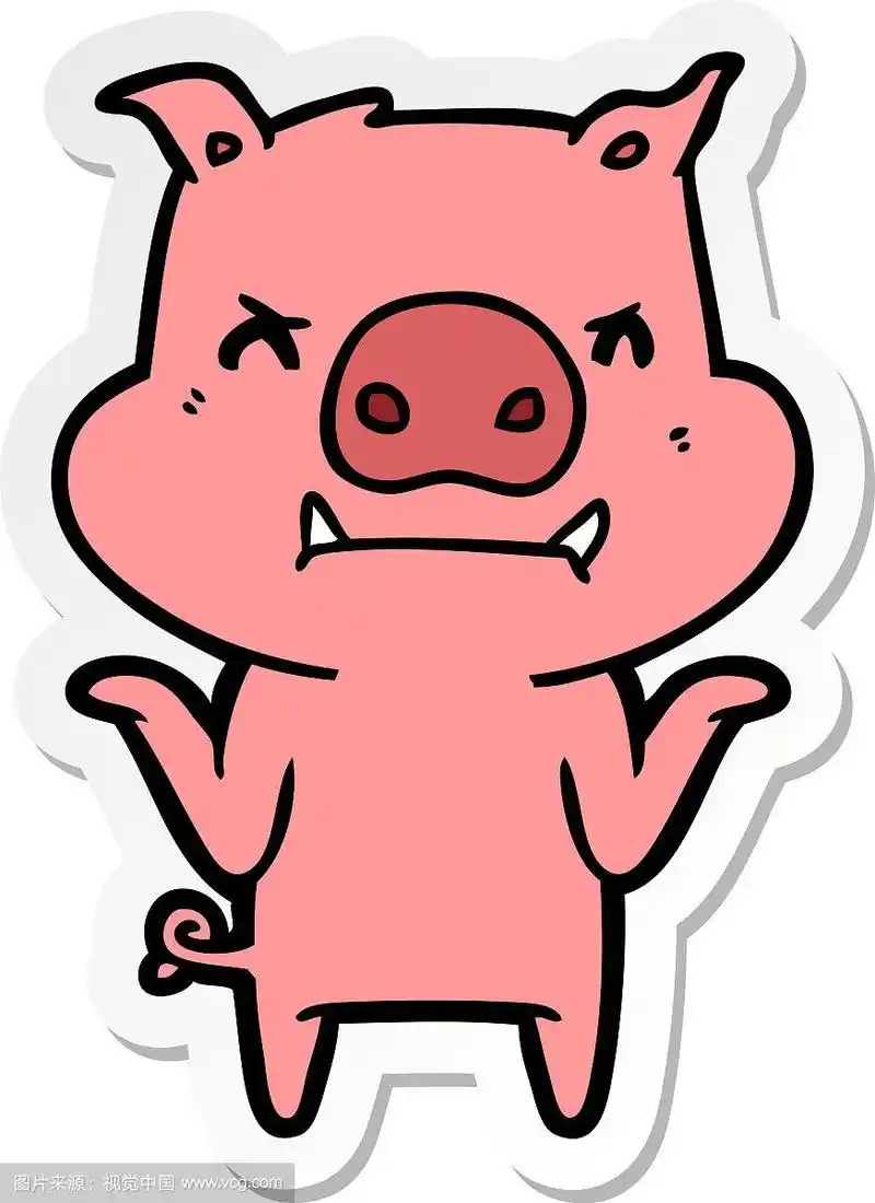 一个愤怒的卡通猪耸肩的贴纸