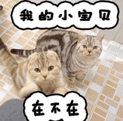 在在不在我的小宝贝gif动图_动态图_表情包下载_soogif