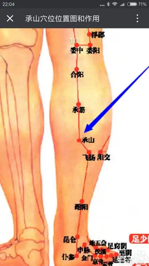 (21)不可忽略的小腿肚子