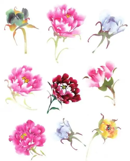 零基础国画教程:牡丹花头的三十种画法,简单易学,一起来临摹!