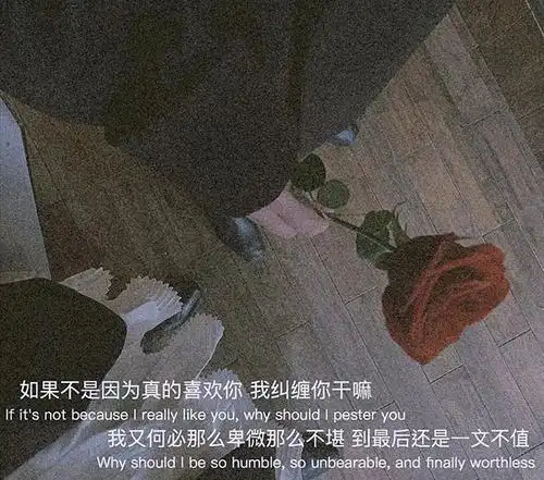 今日分享今日丧系文案经历了多少才让你懂得自己多么可悲