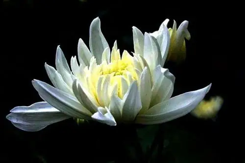 【沉痛悼念焦续华同学!】