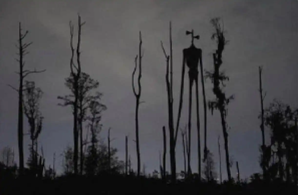 那个警笛头的原照片是这个 那个警笛头的原照片是这个