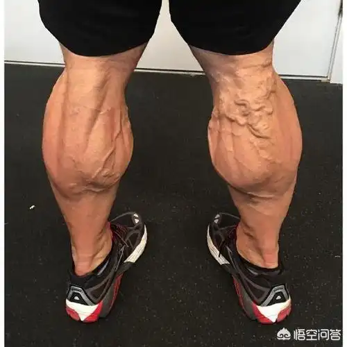 小腿肌肉该怎么练有哪些训练动作