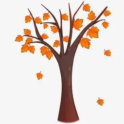 枫树的简笔画 枫树的简笔画图片大全