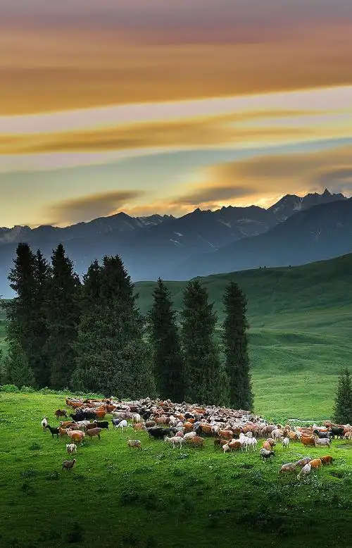 草原牧歌 - 邢善良