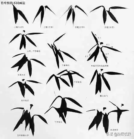 教你3种常见竹子画法,简单易学,学会画竹子很简单