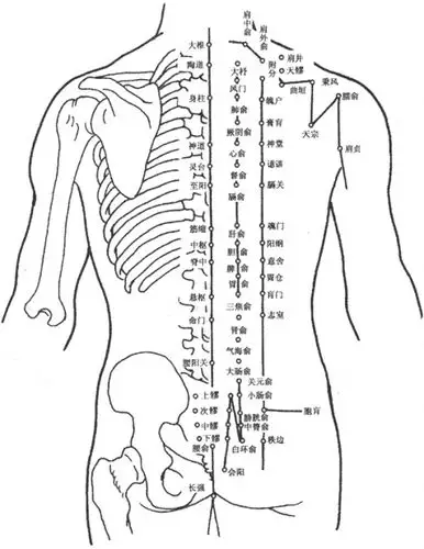 刮痧小常识分享