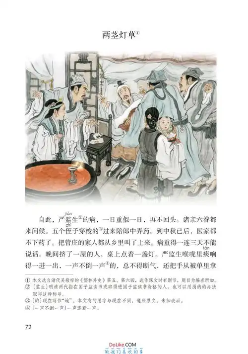 课文13 人物描写一组两茎灯草他像一棵挺脱的树