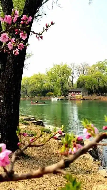 曼妙了时光的绝佳诗句!〗 1,愿你阅尽霜华,内心依旧温润如初