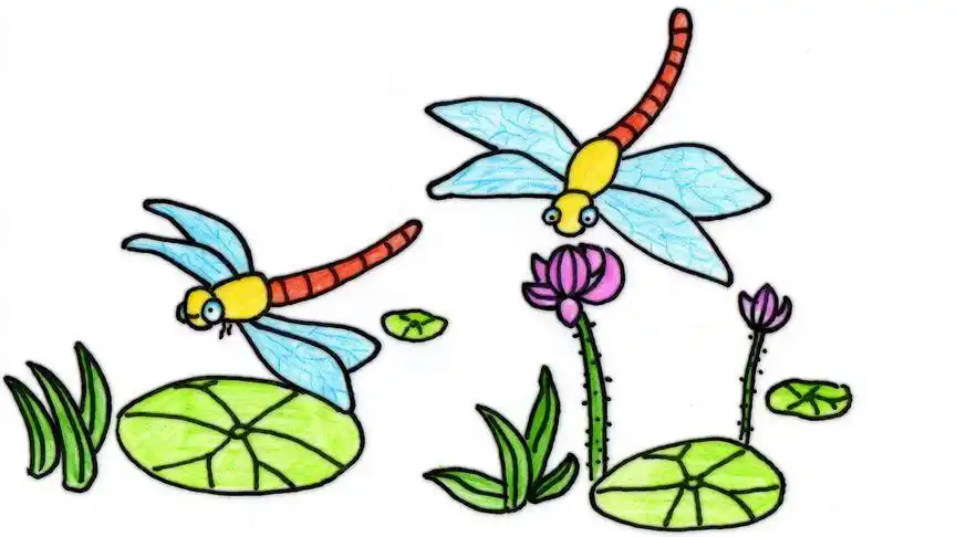 好漂亮的蜻蜓荷花卡通简笔画为爱画画的宝宝留着咯