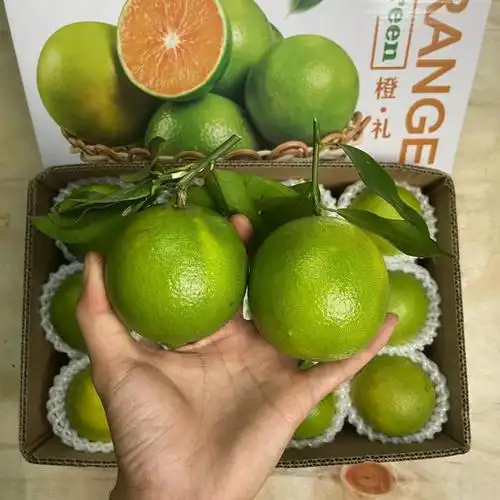 海南绿橙青橙子水果新鲜橙水果当季橙五指山琼山绿橙
