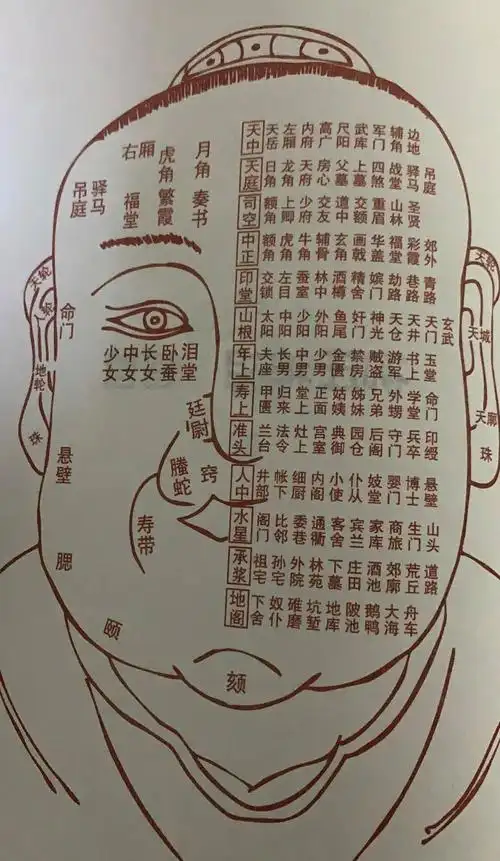 面相十三部分别是什么