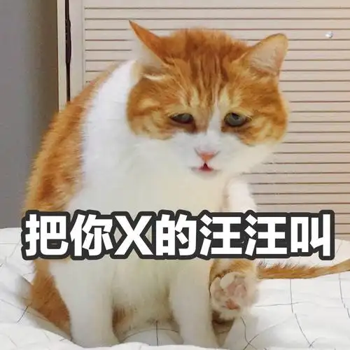 把你x的汪汪叫(猫咪)_撩妹撩汉_污_猫咪_汪汪叫表情