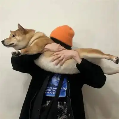 搞怪又不失帅气的个性男生头像图片 高质量小众独一无二微信男头