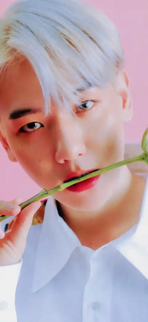 边伯贤爱你如一