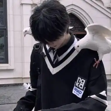 男生头像真人ins意境追风赶月莫停留平芜尽处是春山