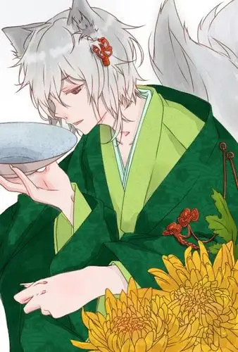 狐妖大人 二次元插画 壁纸 线稿非原创 sai涂色