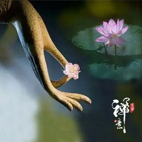 一禅一世界一叶一菩提