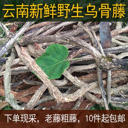 野生新鲜乌骨藤通关散扁藤中草药10件起包邮