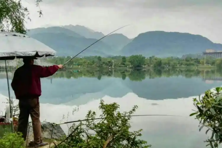 钓鱼翁闲钓烟雨中——静谧的画面平添几分意境. 这张美图堪称佳作!