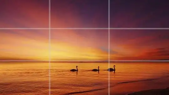 掌控这个摄影小技巧让你拍出专业的照片!不要再把主角放在中间了!