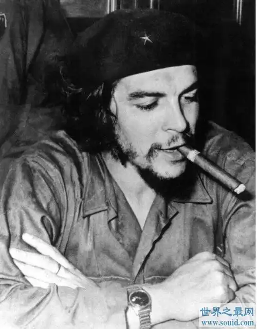 世界上最贵的头发(以11.95万美元拍卖)