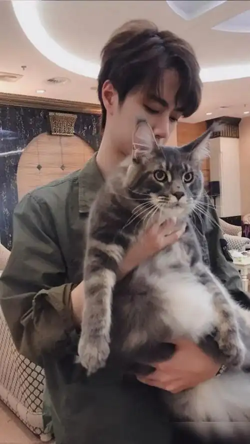 我是王一博的猫让本喵来介绍一博哥哥休息日的一天行程吧