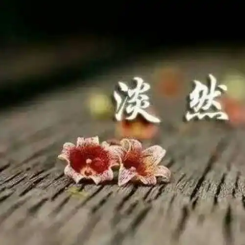 淡然的图片带字配图,淡然一笑图片带字_大山谷图库