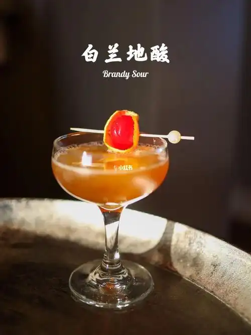 一书中,书中共记录了五款酸酒,其中就有白兰地酸酒