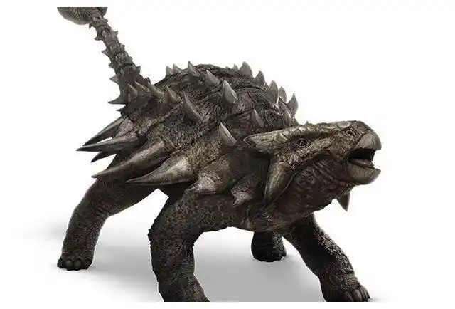 甲龙大面甲龙生存在68-66百万年前,是上白垩纪麦