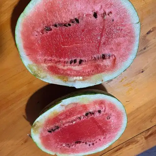 后续   家中石头缝长出的西瓜91