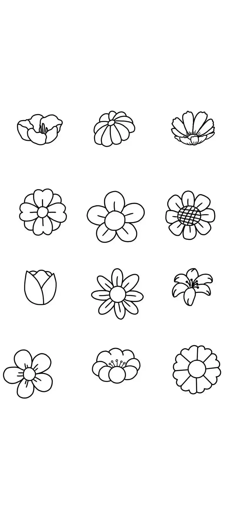 花朵简笔画#花朵简笔画教程 # - 抖音