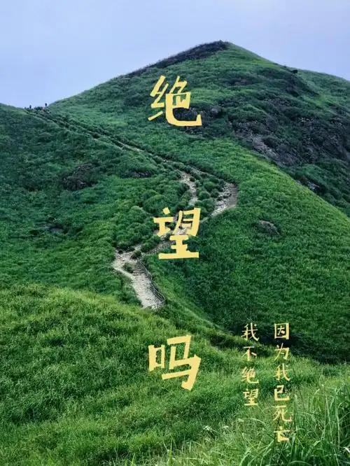 《当时绝望极了》