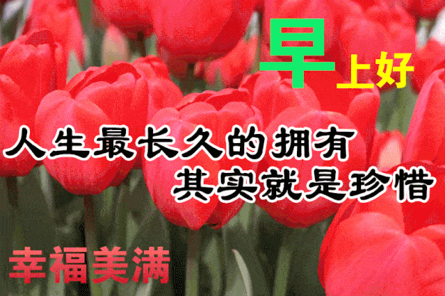 10月13日最漂亮早上好动态表情图片大全早晨好动图美图大全