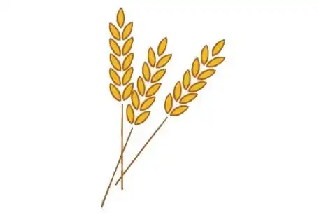 麦穗简笔画完成图