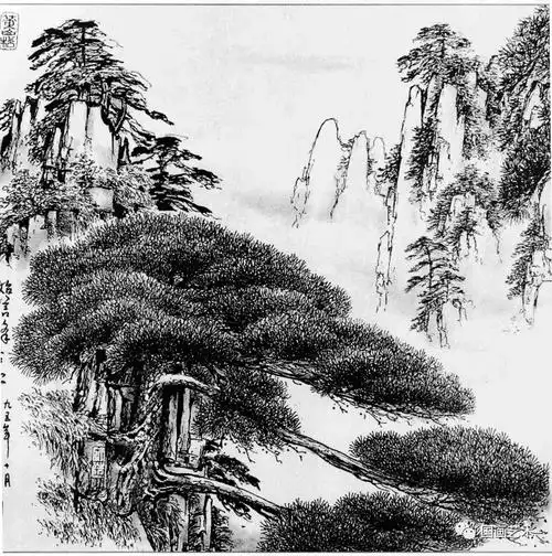 描写松树的段落,描写松树的优美句子摘抄