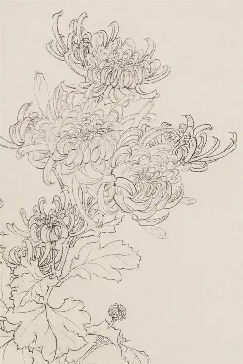 陈相锋新著丨菊花白描技法精解 书画艺术家大数据_艺盘