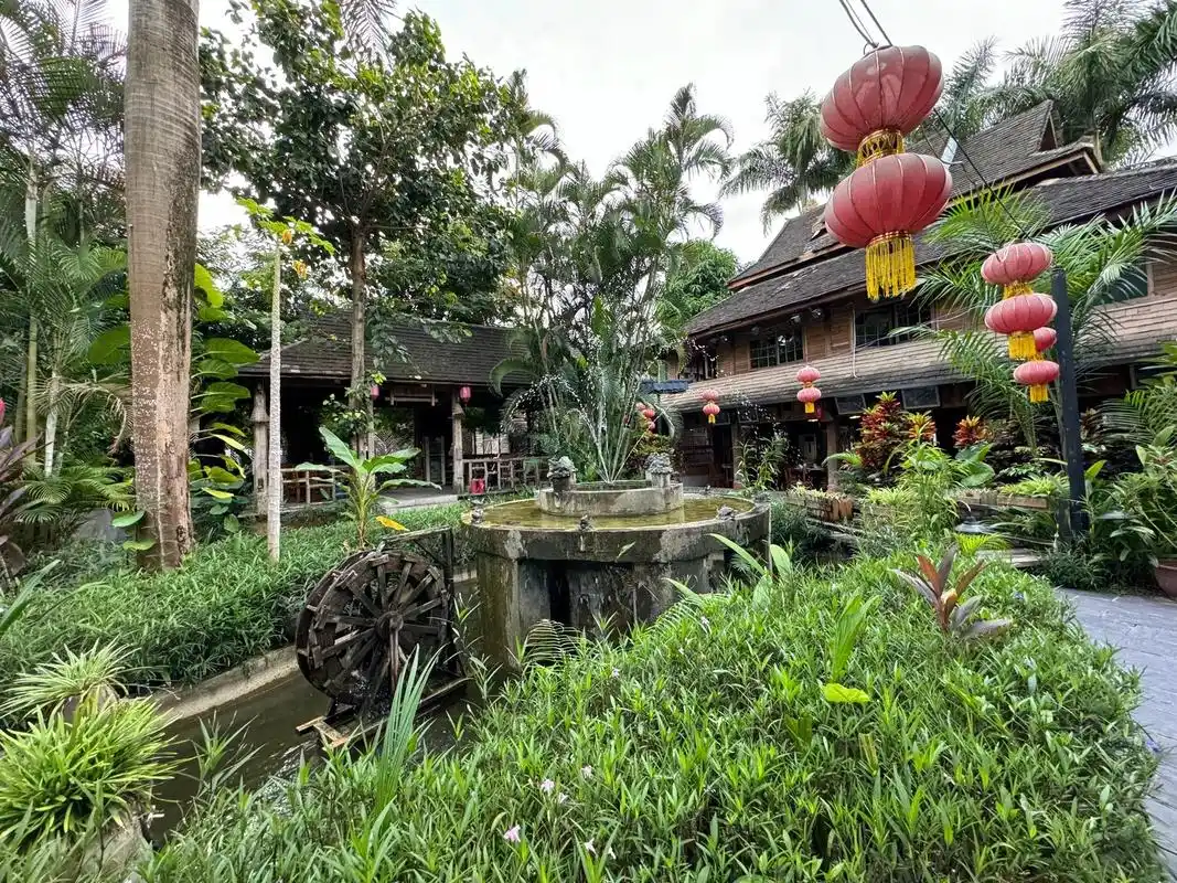 版纳风情.#旅行 - 抖音