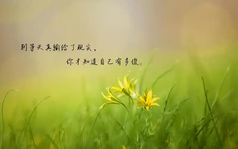 看透人心的悲凉句子带字配图