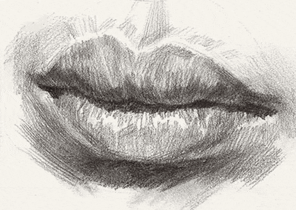 美术生素描画好嘴巴的知识点!_嘴唇_变化_口唇