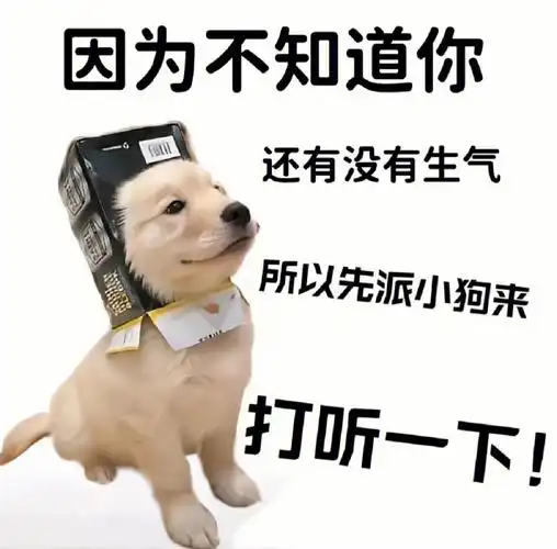 超级火的可爱表情包