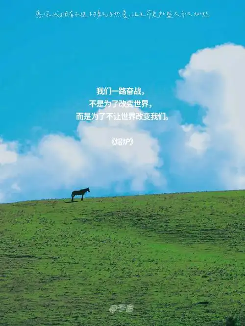 台词我用尽了全力过着平凡的一生