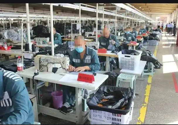 我在监狱4年半的真实心里感受跟经历,只是想告诫大家代价太大了