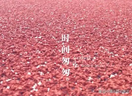 感叹一下时光飞逝,岁月如梭啊