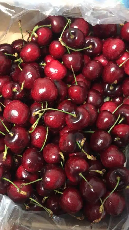 12月8号的3j车厘子终于到了