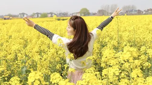 心有阳光一路芬芳我们的金色之约