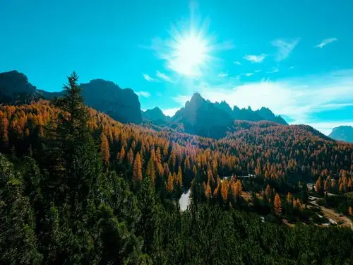 山树木太阳光线秋天鸟瞰图